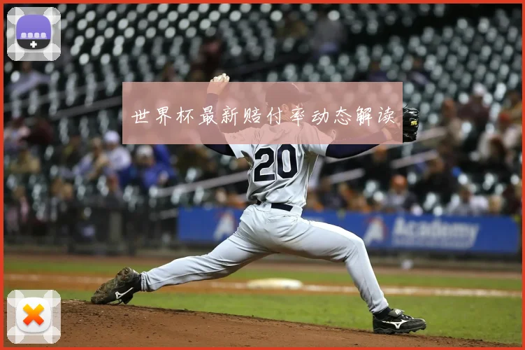 世界杯最新赔付率动态解读