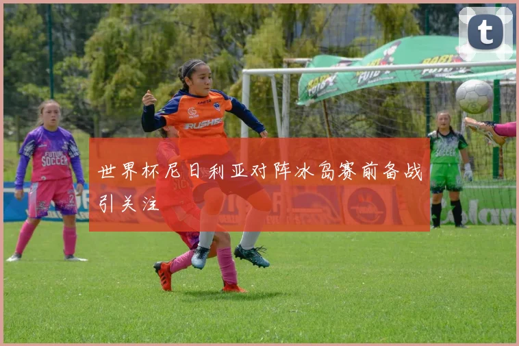 世界杯尼日利亚对阵冰岛赛前备战引关注